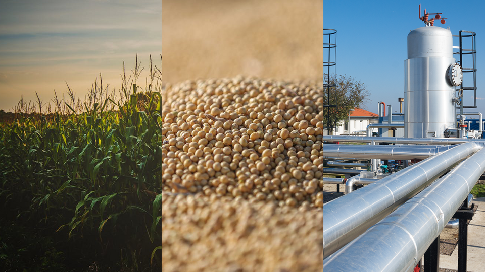 Corn field, soybeans, and natural gas